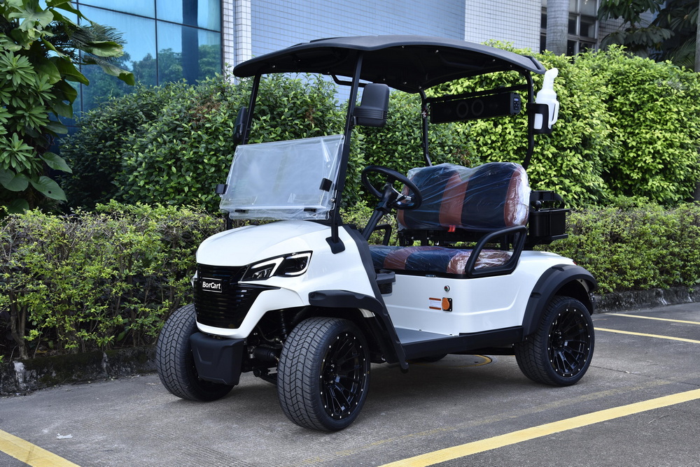 5KW Motor 2 Seaters Golf Cart (1) 5KW Motor 2 Seaters Golf Cart (1)