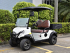 2 Seats Mini Truck Utility Electric Golf Cart
