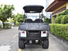 2 Seats Mini Utility Electric Golf Cart
