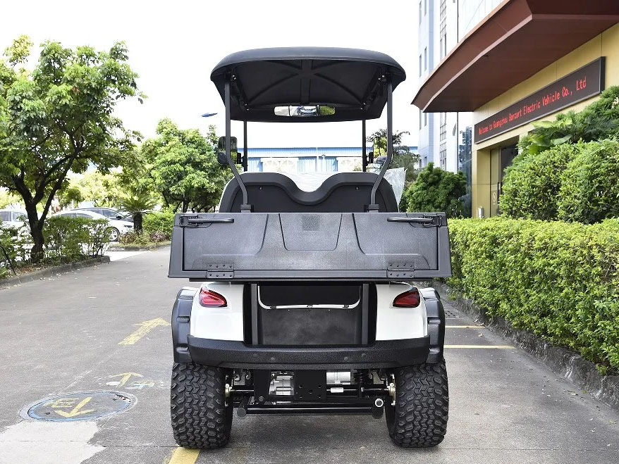 2 Seats Mini Utility Electric Golf Cart