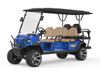 6 Passenger Buggies Electric Golf Cart