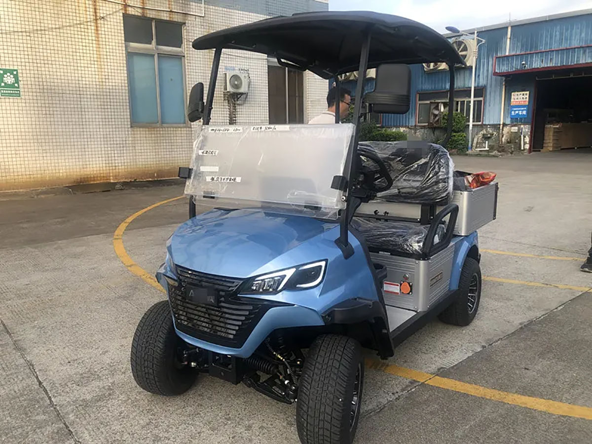 2 Seats Golf Cart1.jpg