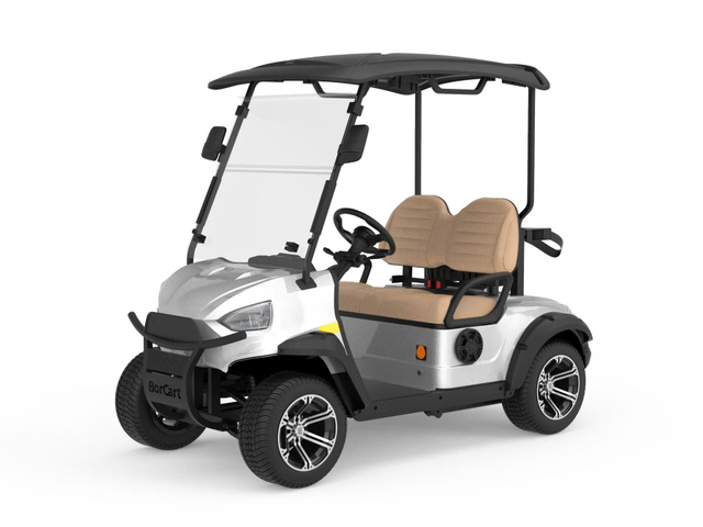 2 Passenger Mini Golf Car