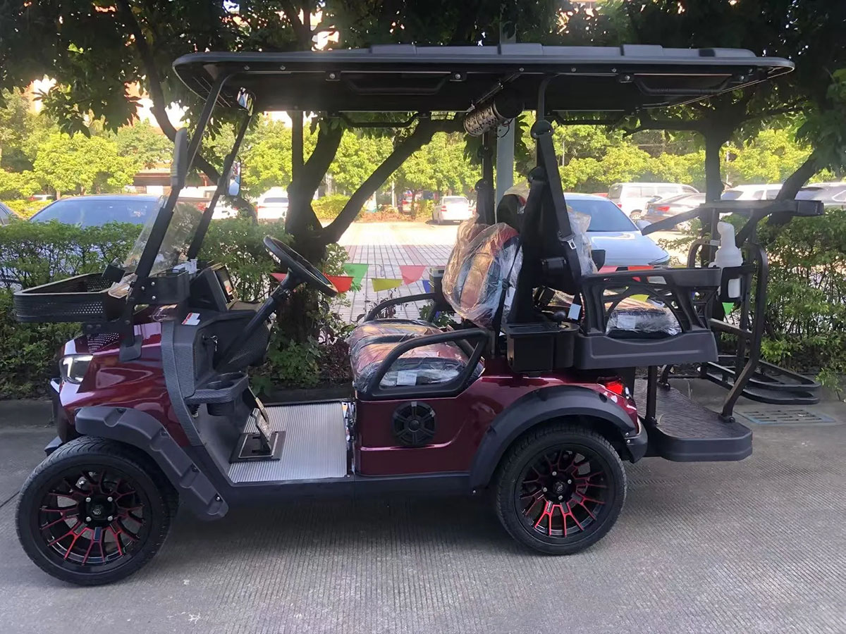 Mini Electric Golf Cart (2)