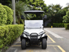 2 Seats Mini Truck Utility Electric Golf Cart