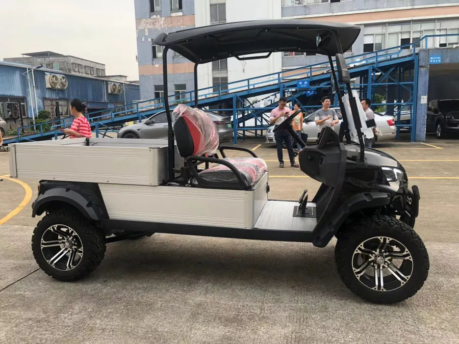 2 Seats Golf Cart