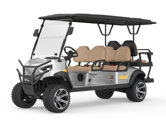 6 Passenger Electric Golf Cart