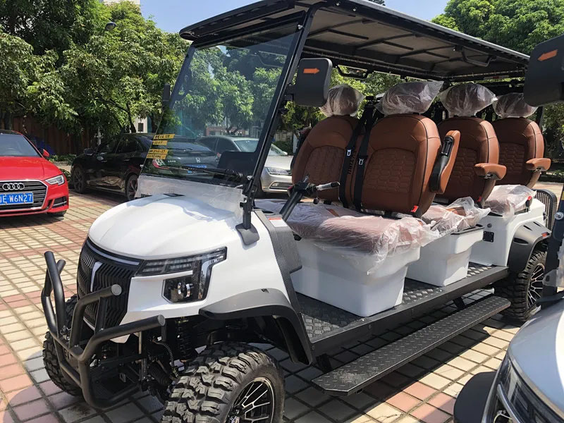 6 Seats Smart Golf Cart