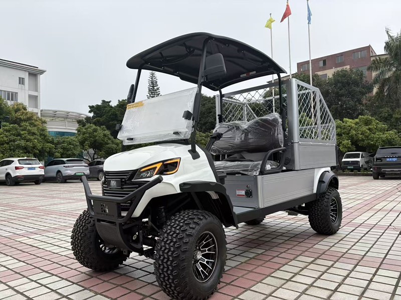 2 Seats Utility Electric Golf Cart With Cargo Box