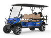 6 Passenger Electric Golf Cart