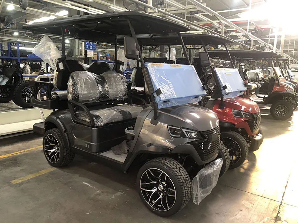 Mini Electric Golf Cart (1)