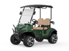 2 Seats Mini Electric Golf Buggy