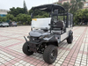 Utility Golf Cart With Cargo and Cover