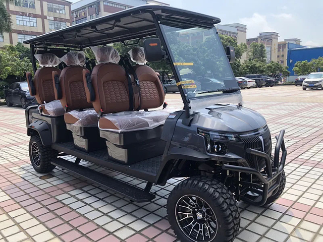 6 Seats Smart Golf Cart