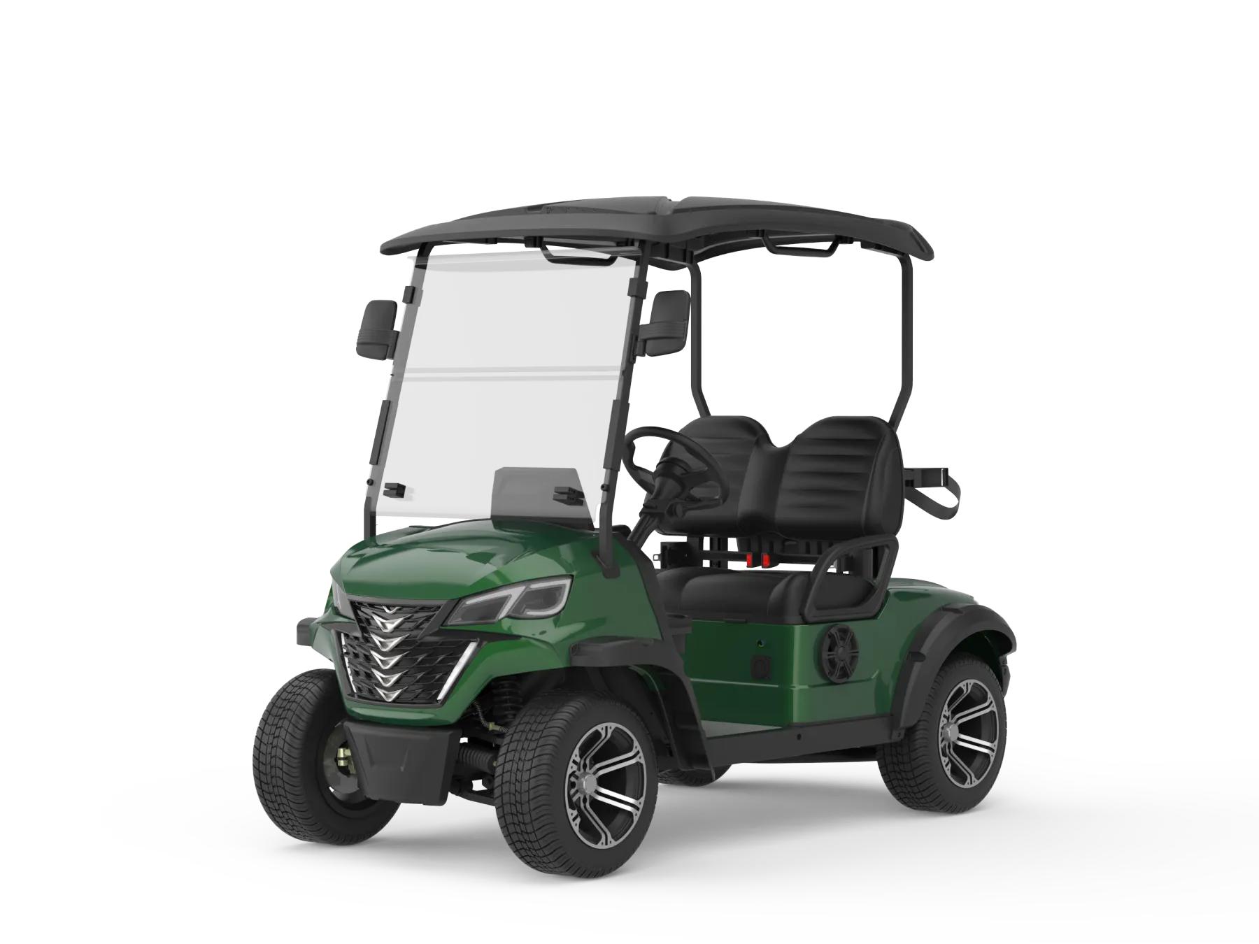 2 Person Electric Mini Golf Cart