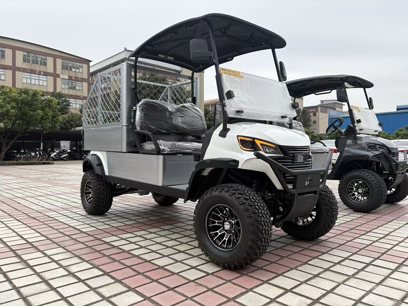 2 Seats Utility Electric Golf Cart With Cargo Box