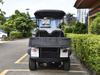 2 Seats Mini Truck Utility Electric Golf Cart