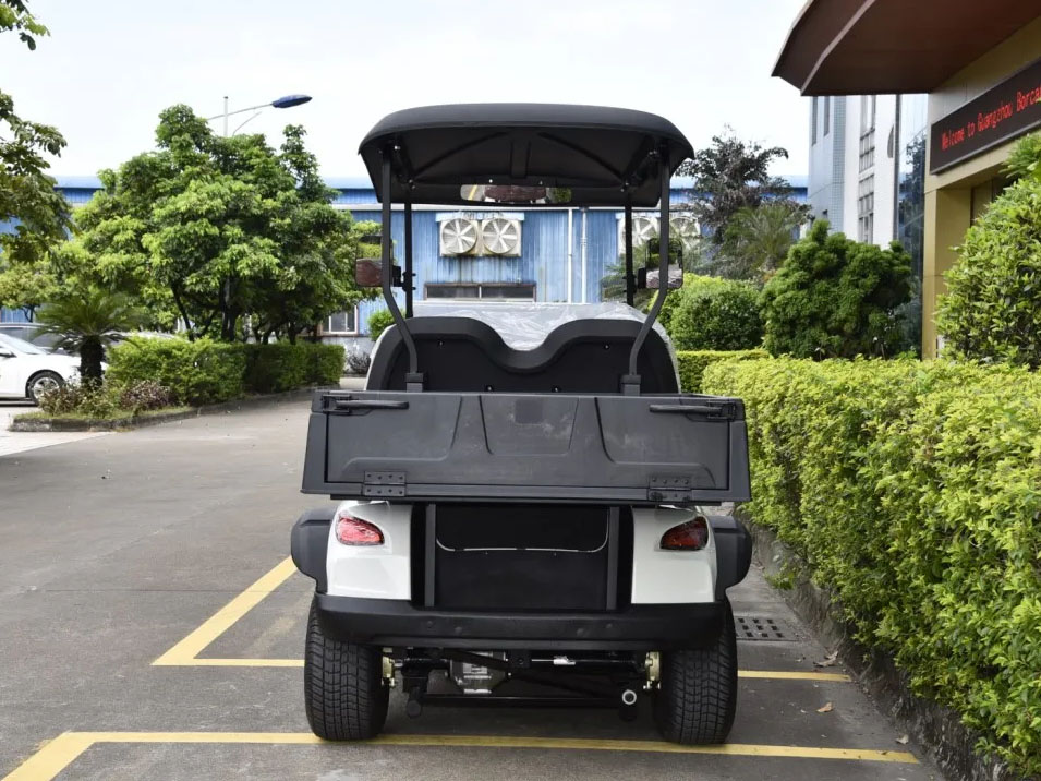2 Seats Mini Truck Utility Electric Golf Cart