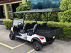 4 Seats Mini Truck Utility Golf Cart