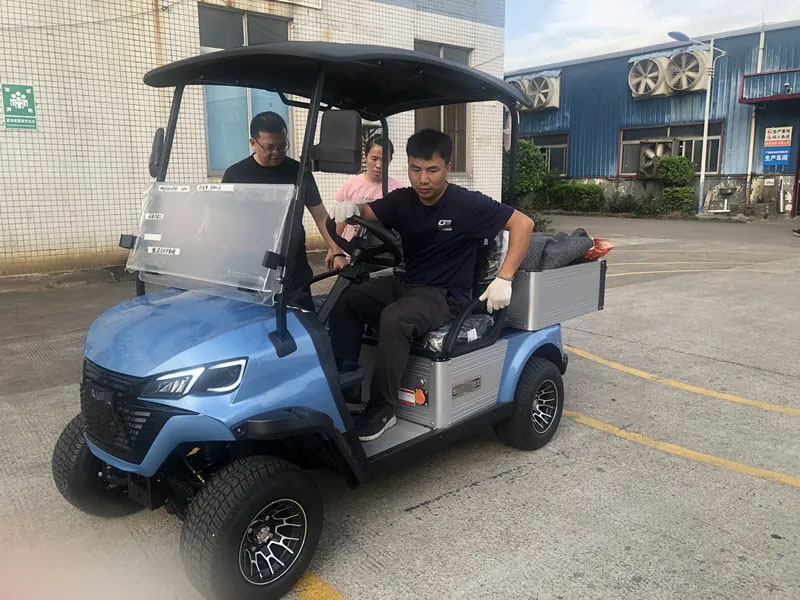 2 Seats Utility Vehicles Electric Golf Cart