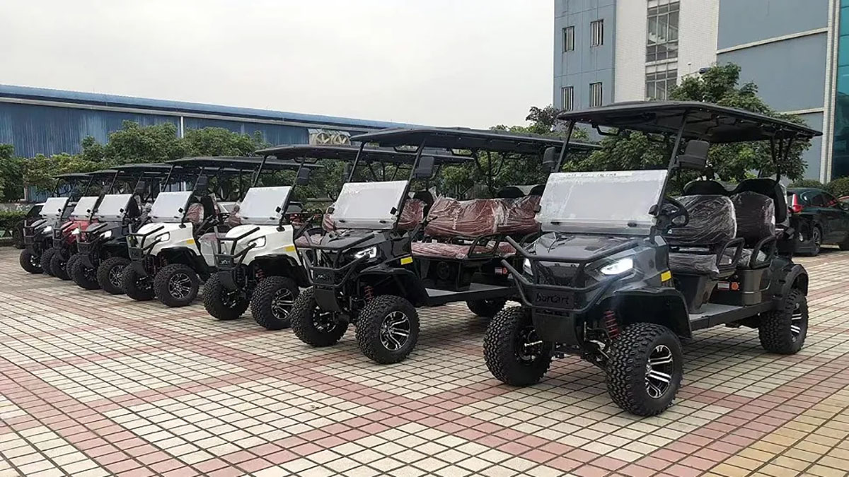 6 Passenger Buggies Electric Golf Cart