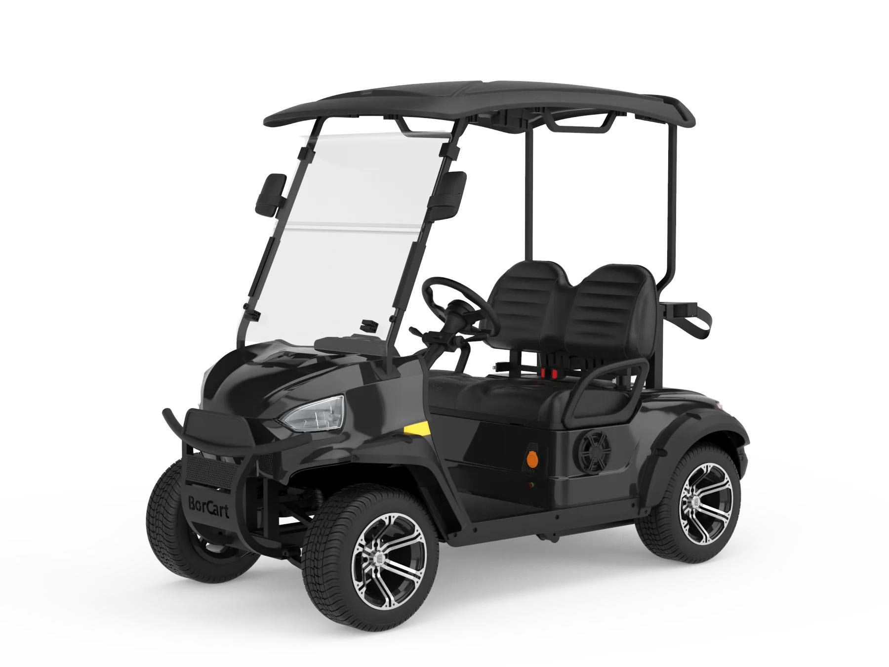 2 Passenger Mini Golf Car