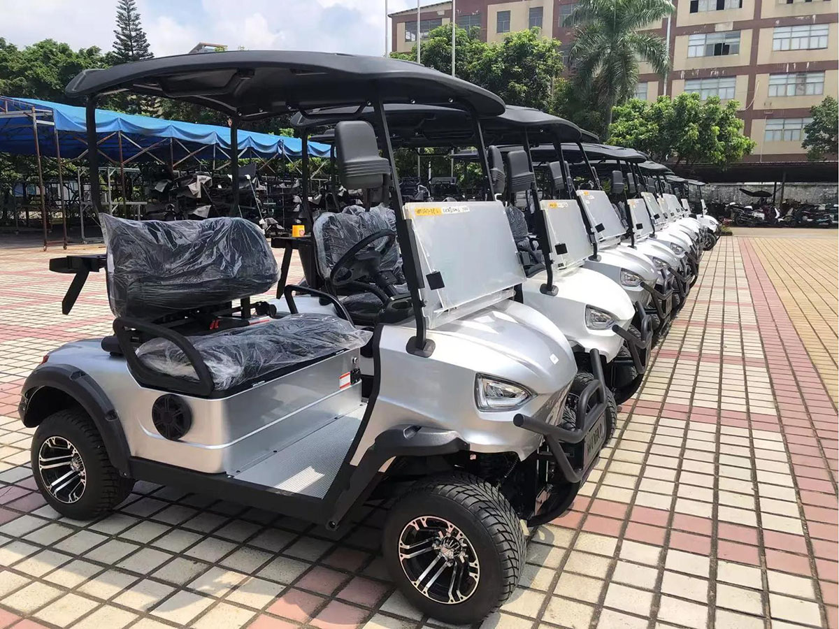 2 Passenger Mini Golf Car