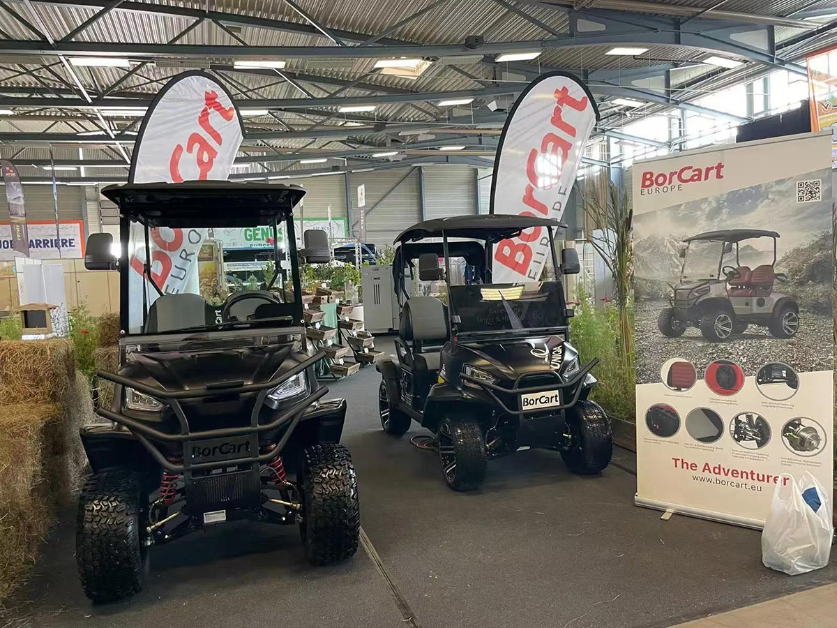 2 Seats Mini Electric Golf Buggy