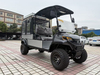 Utility Golf Cart With Cargo and Cover