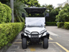 4 Seats Mini Truck Utility Golf Cart