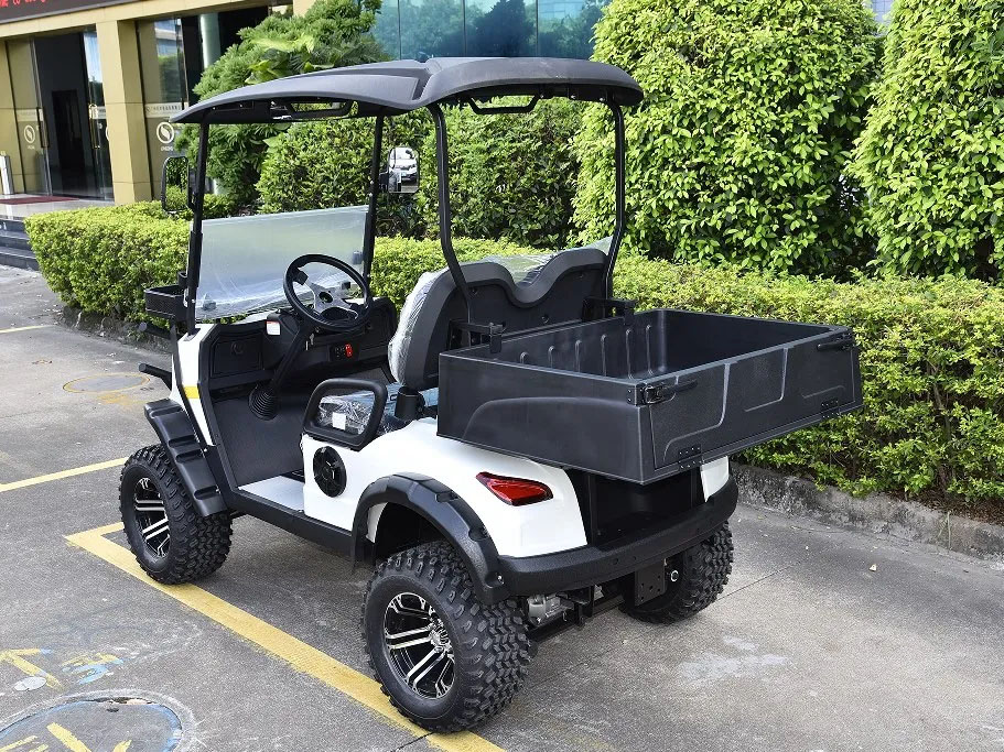 2 Seats Mini Utility Electric Golf Cart