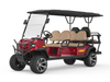 6 Passenger Electric Golf Cart