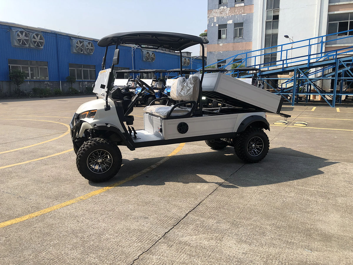 Utility Cart 2 Seats Golf Cart.jpg