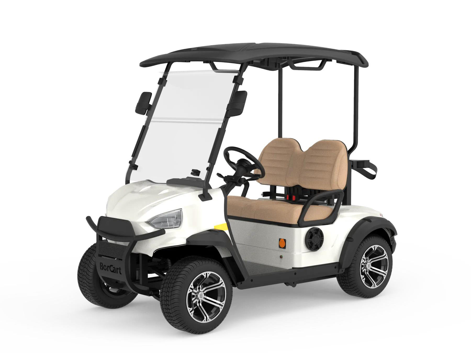 2 Passenger Mini Golf Car