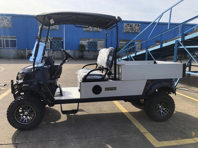 2 Seats Utility Electric Golf Cart With Cargo Box Exporter