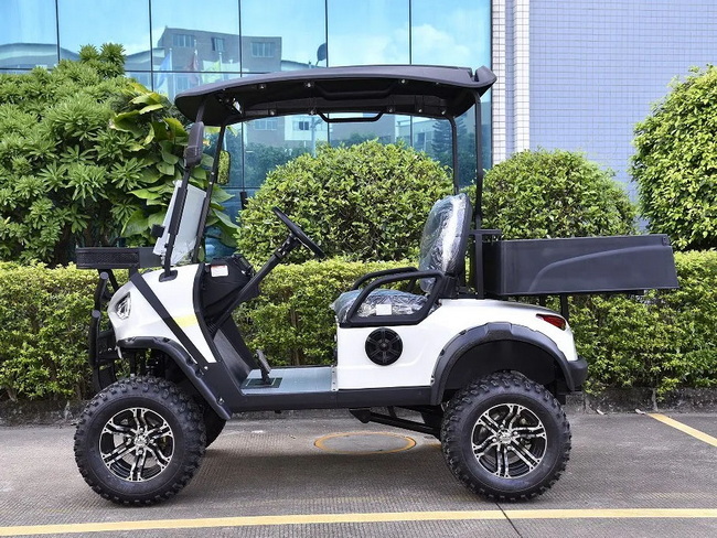 2 Seats Mini Utility Electric Golf Car