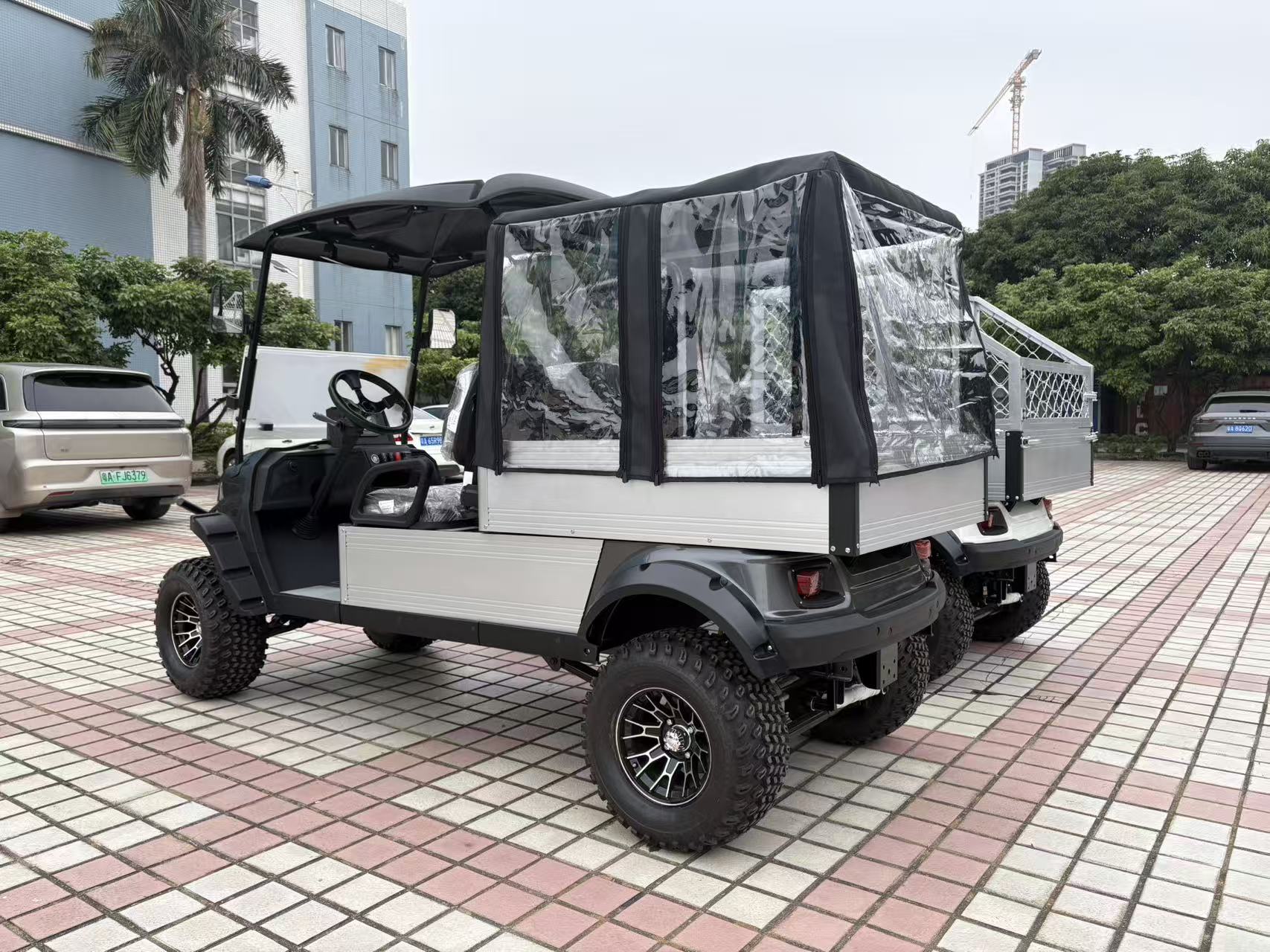 Utility Golf Cart With Cargo and Cover