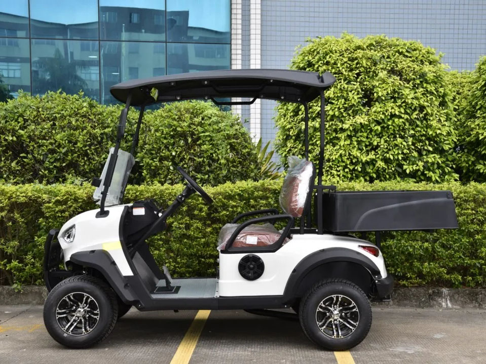 2 Seats Mini Truck Utility Electric Golf Cart