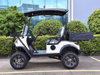 2 Seats Mini Utility Electric Golf Cart