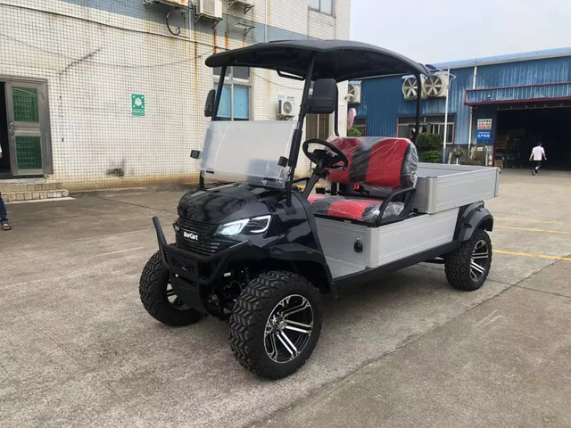 2 Seats Golf Cart