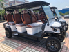 6 Seats Smart Golf Cart