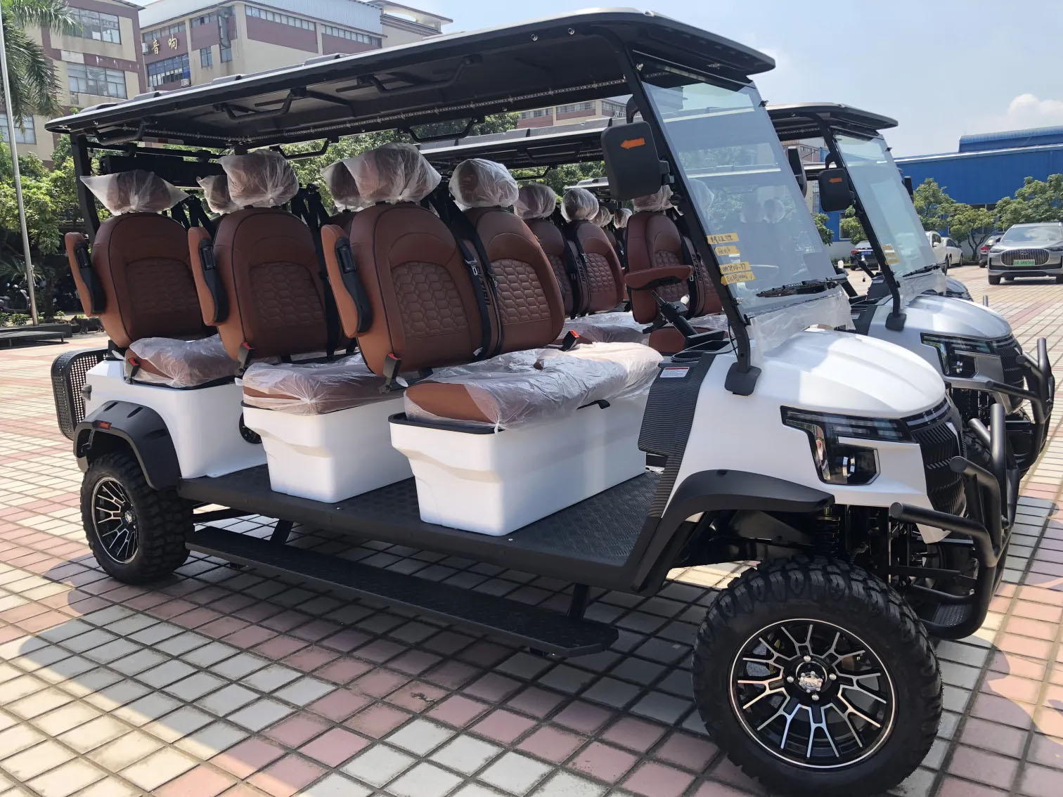 6 Seats Smart Golf Cart