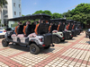 6 Seats Smart Golf Cart