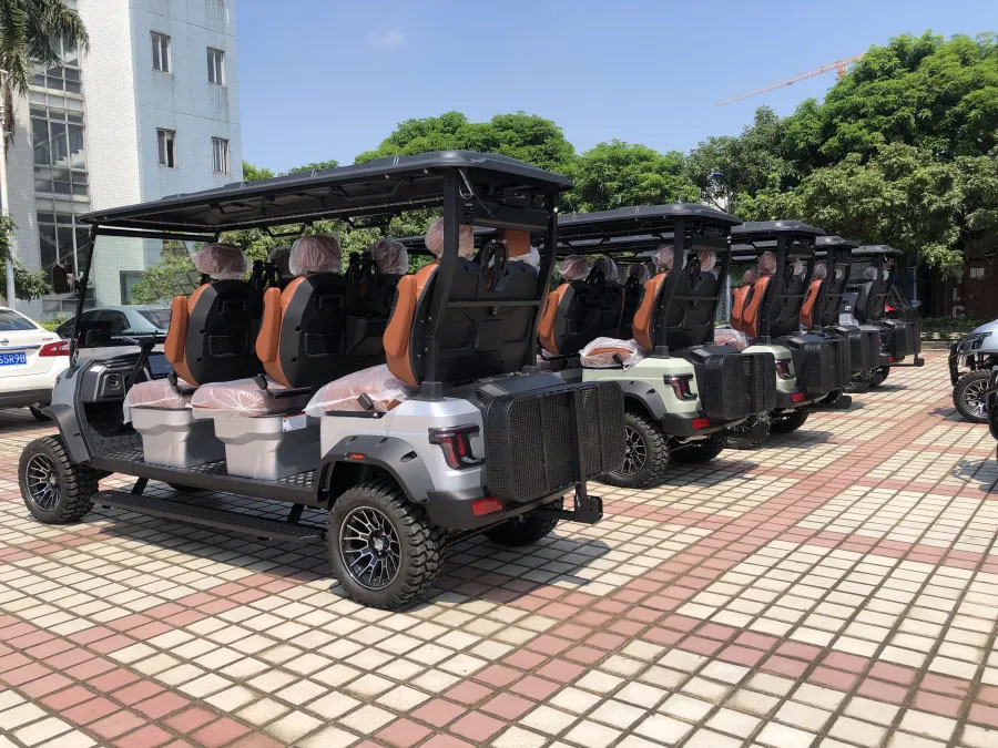 6 Seats Smart Golf Cart