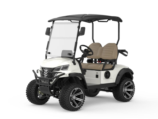Off Road Golf Cart 2 Seater