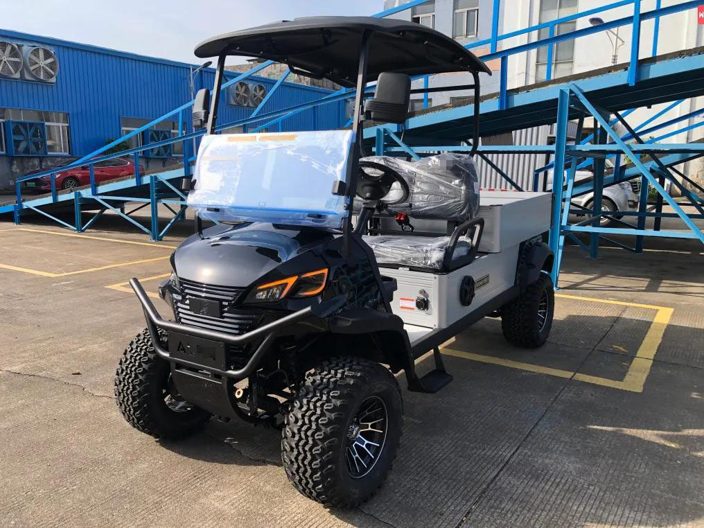 2 Seats Utility Electric Golf Cart With Cargo Box