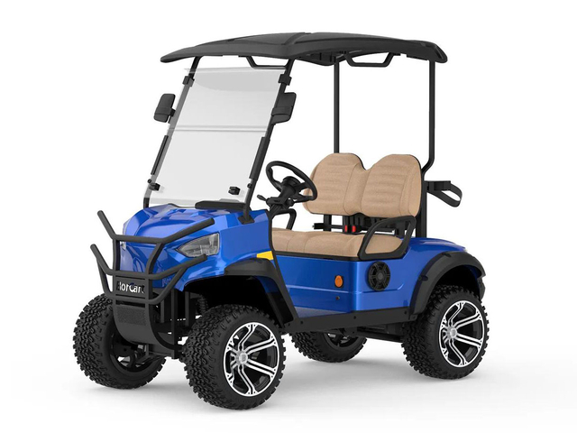 2 Seats Mini Electric Golf Buggy