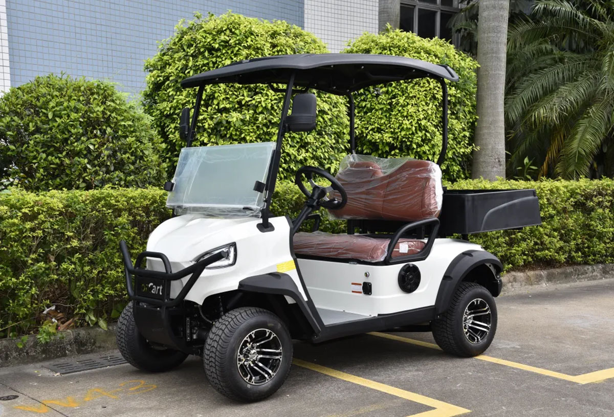 2 Seats Mini Truck Utility Electric Golf Cart