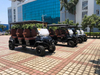 Luxury Seat Golf Cart