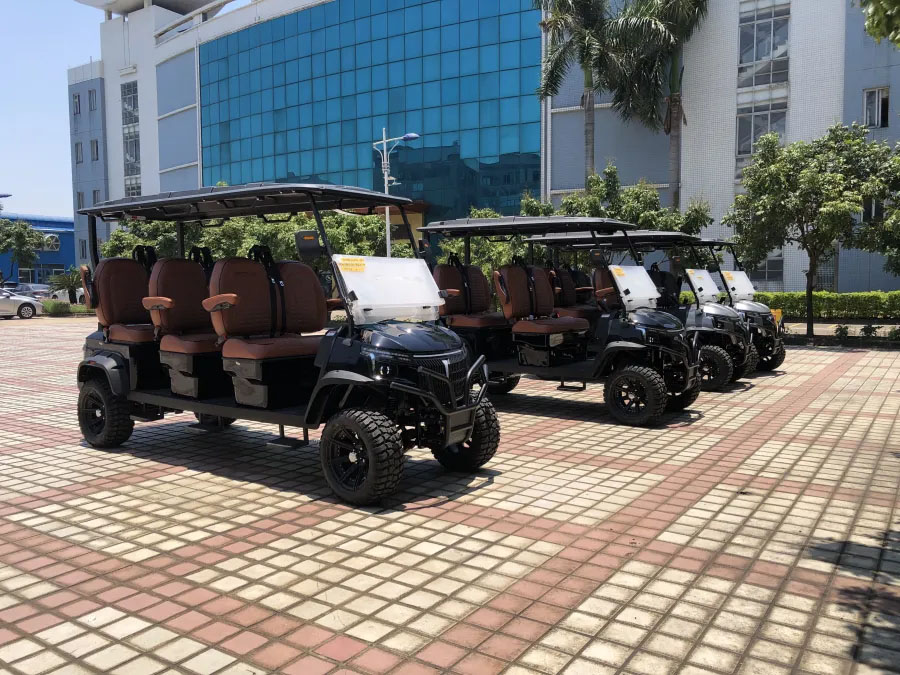 Luxury Seat Golf Cart